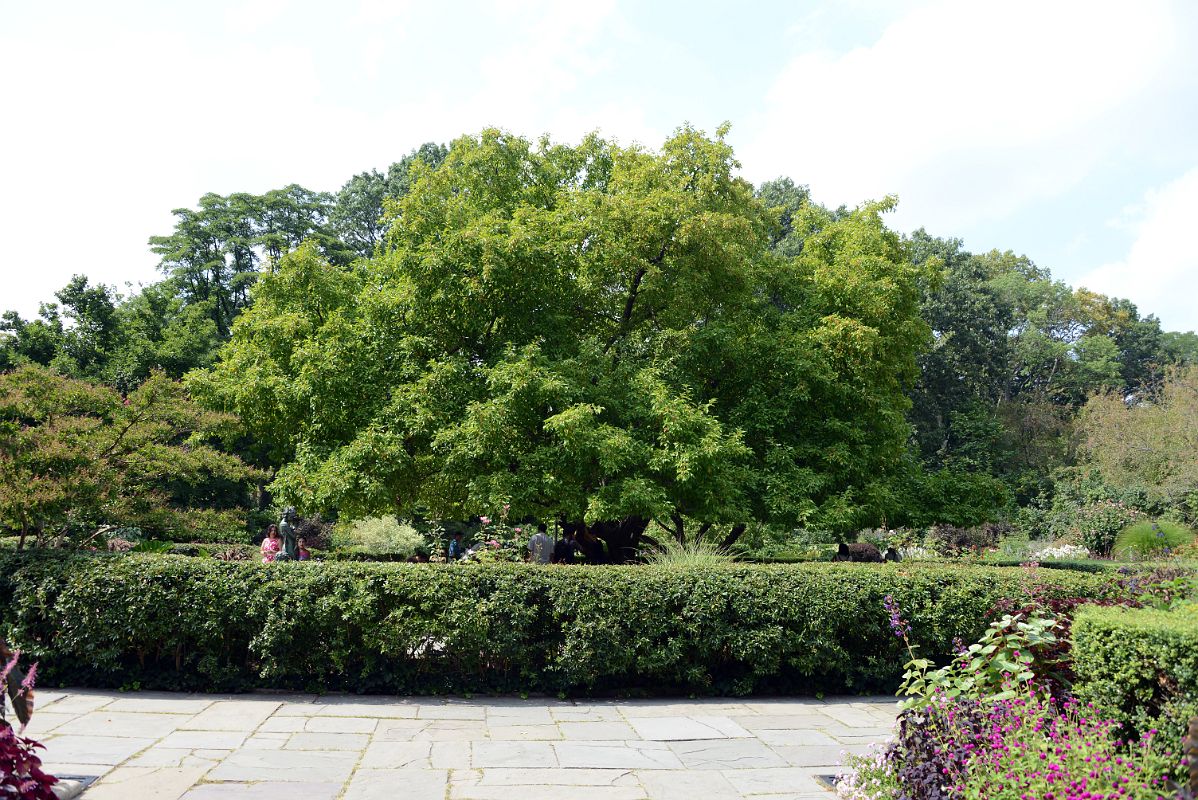 35A South Conservatory English Garden Entrance 104 St